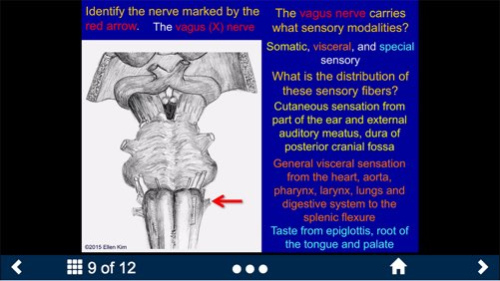 Neuroanatomy - SecondLook 3.1 Screenshot