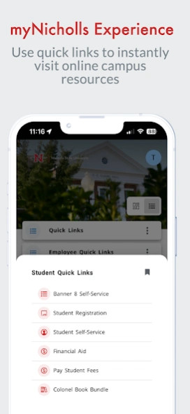 Nicholls 2090.100.21 Screenshot