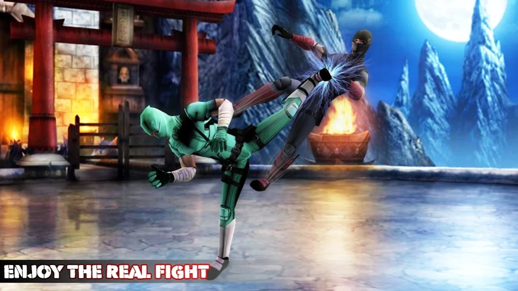 Ninja Kung Fu Fighting 3D 1.9 Screenshot