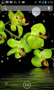 Orchids in Night 1.6 Screenshot