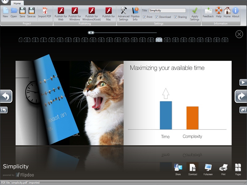 Page Flip Software 1.0.0.0 Screenshot