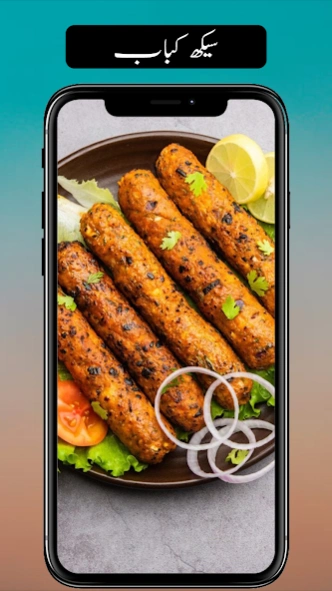 Pakistani Urdu Recipes 2.6 Screenshot