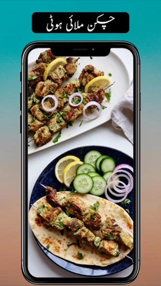 Pakistani Urdu Recipes 2.6 Screenshot