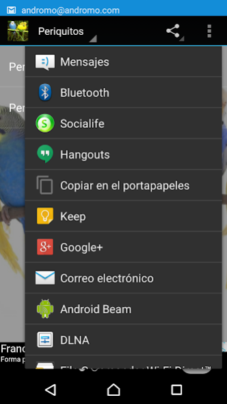 parakeet 1.0 Screenshot