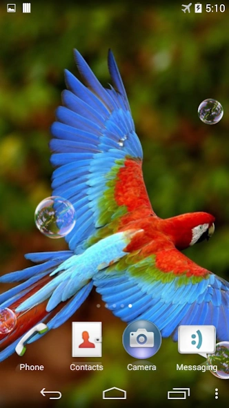 Parrots Live Wallpaper 4.0 Screenshot