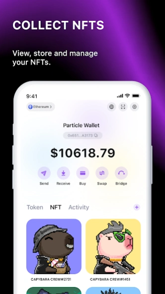 Particle Wallet 2.0.9 Screenshot