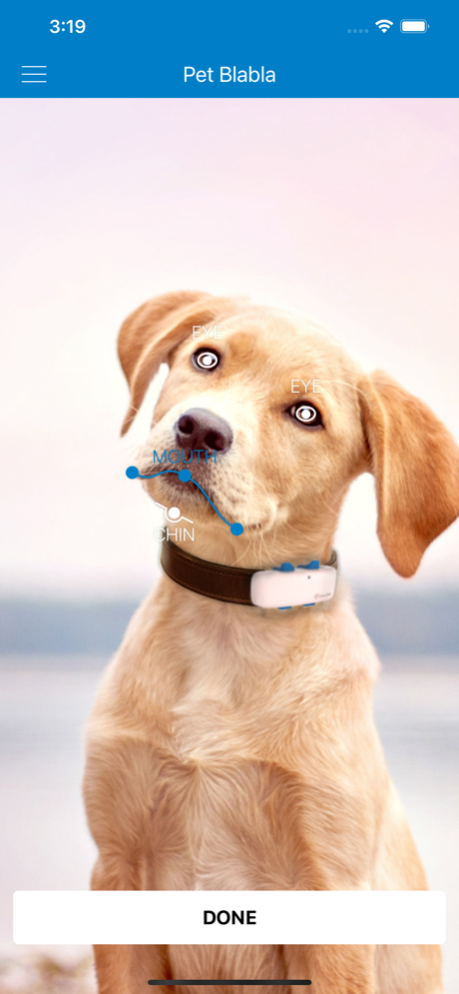 Tractive Pet BlaBla 2.0.0 Screen Prints 2