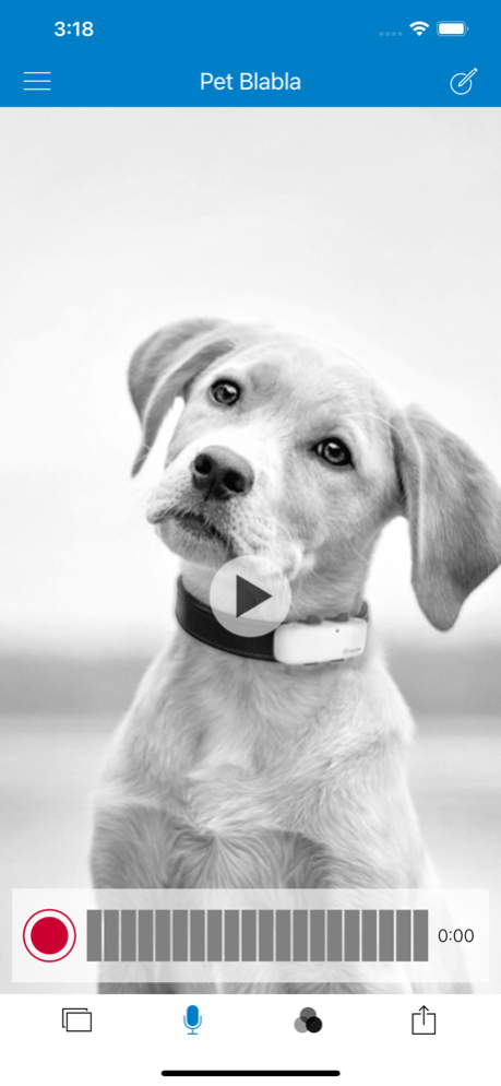 Tractive Pet BlaBla 2.0.0 Pictures 3