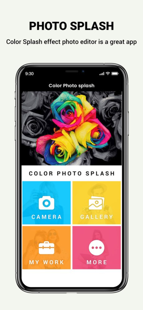 Photo Color Splash Editor 1.6 Screenshot