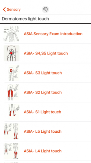 PhysioU: NeuroExam 1.0.1 Screenshot
