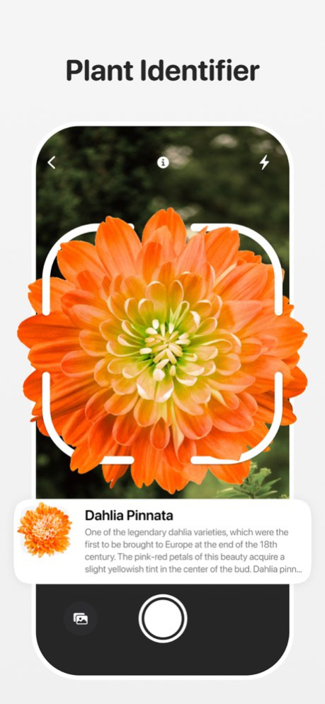 Plant Identifier - Leafora AI 1.1 Screenshot