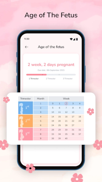 Pregnancy Tracker: Baby Growth 1.1.7 Screenshot