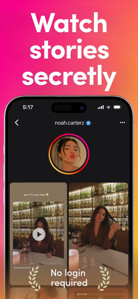 Private Story Viewer - ISV 1.0.46 Screenshot