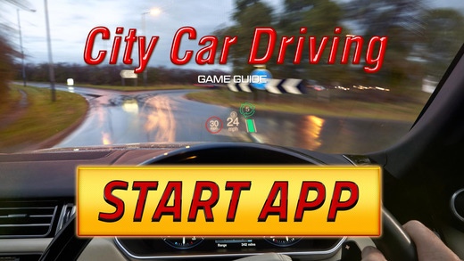 Pro Game - City Car Driving Version 1.0 Screenshot