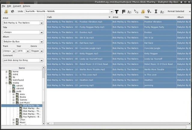 puddletag 1.0.3 Screenshot