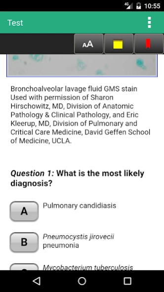 Pulmonary Disease Examination 1.3 Screenshot