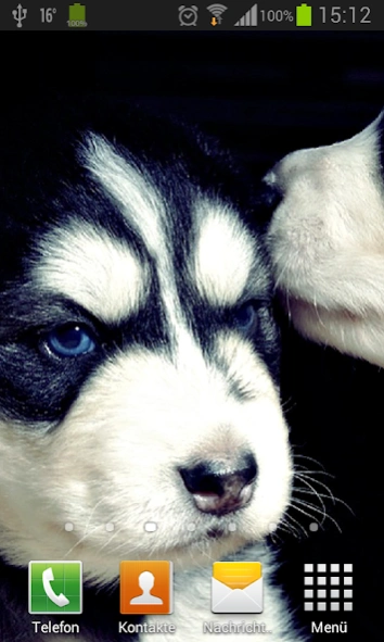 Puppies dogs live wallpaper  Screenshot