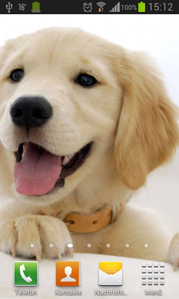 Puppies dogs live wallpaper  Screenshot