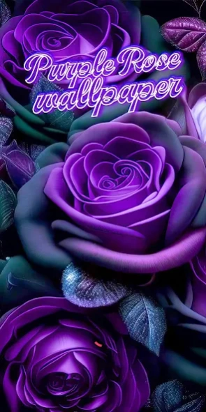 Purple Rose Wallpaper Live 5.6 Screenshot