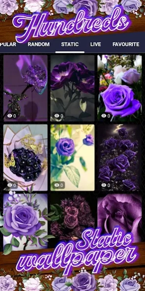 Purple Rose Wallpaper Live 5.6 Screenshot