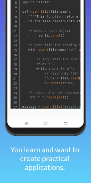 Python Programming - Project B  Screenshot