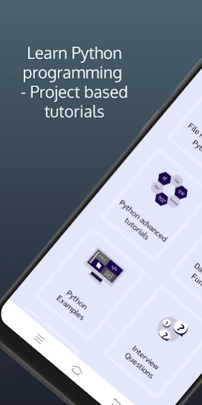 Python Programming - Project B  Screenshot