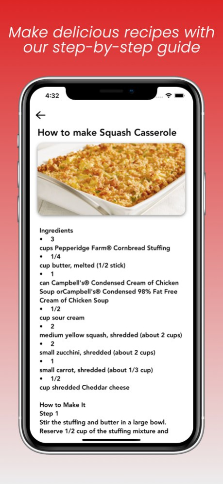 Quick Recipe - Easy Dinner 1.3 Screenshot