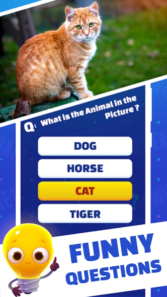 Brain Teasers: IQ Brain Test 6.1 Screenshot