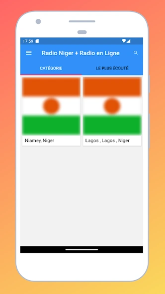 Radio Niger + Radio Niger FM  Screenshot