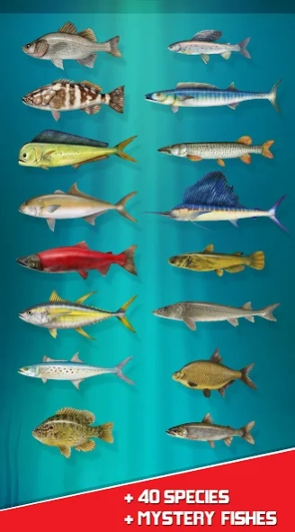 Real Reel Fishing Simulator 3D 1.1.5 Screenshot