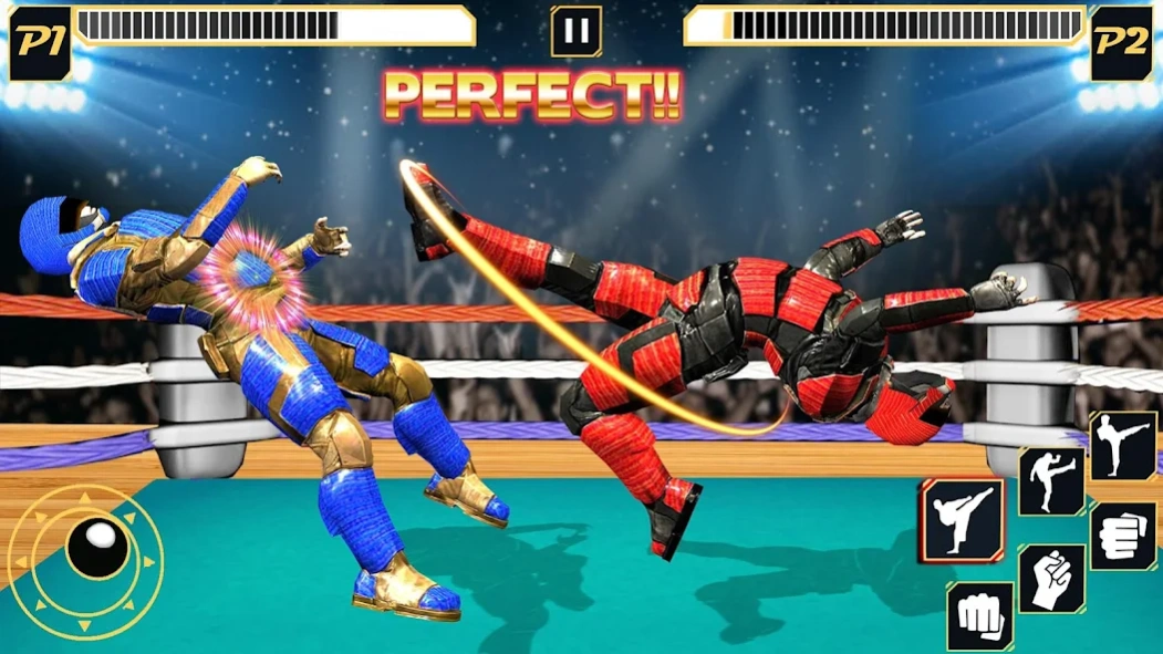 Real Robot Wrestling - Robot F  Screenshot