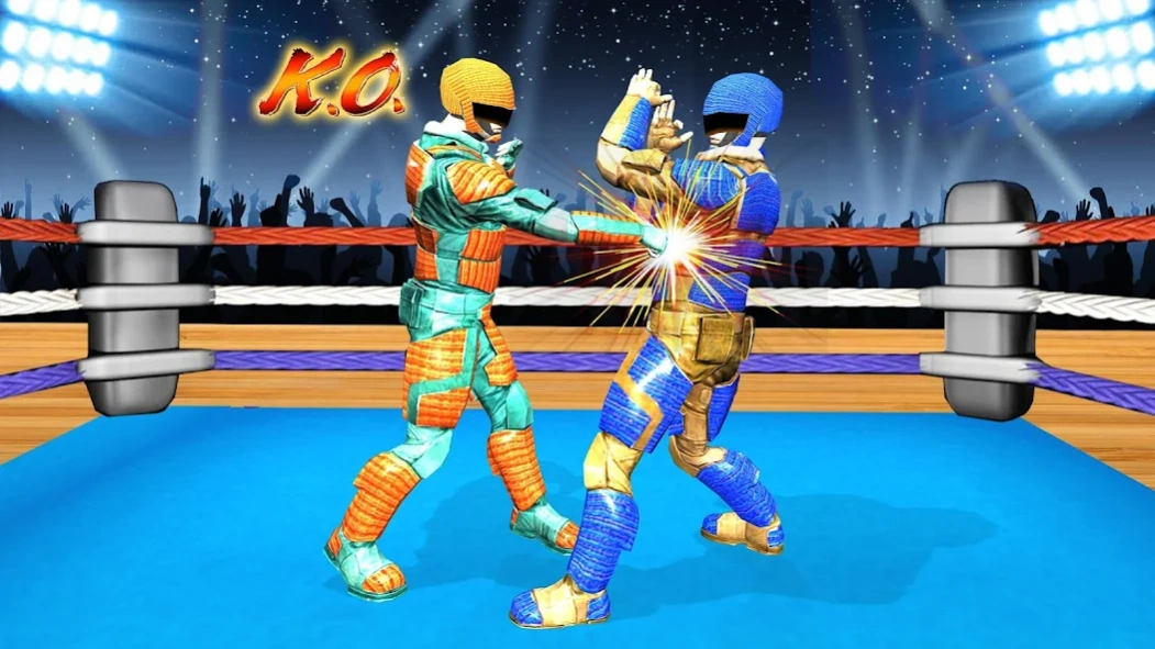 Real Robot Wrestling - Robot F  Screenshot