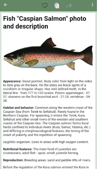 Reference book of fish 5 Screenshot
