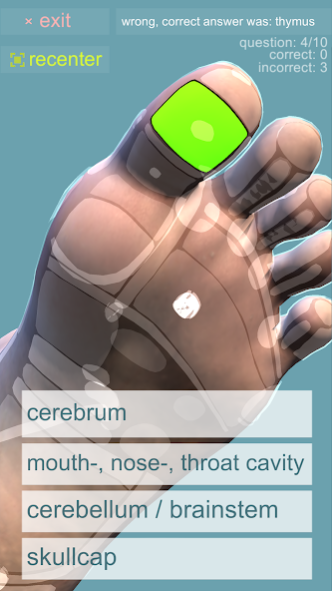 Reflexology Quiz 3D 1.1 Screenshot