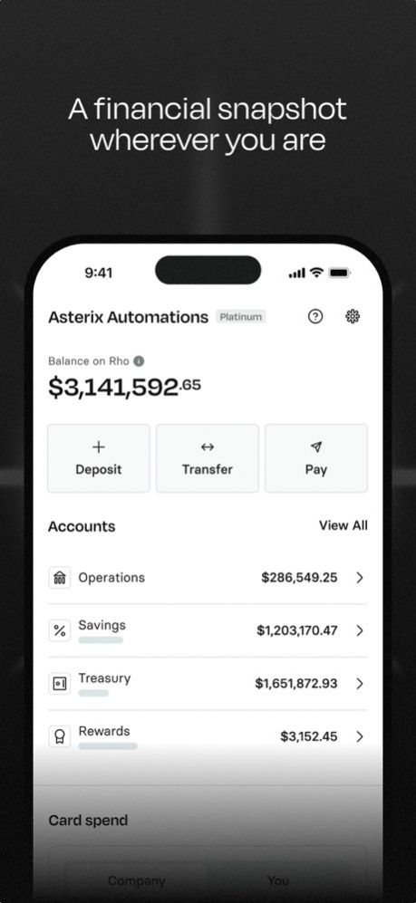Rho 1.56.0 Screenshot