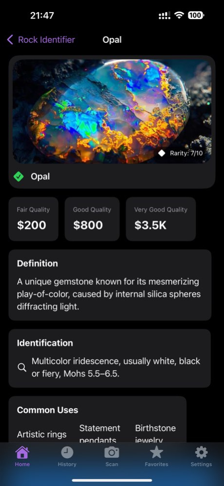 Rock Identifier: Stone Scan ID 1.1.0 Screenshot