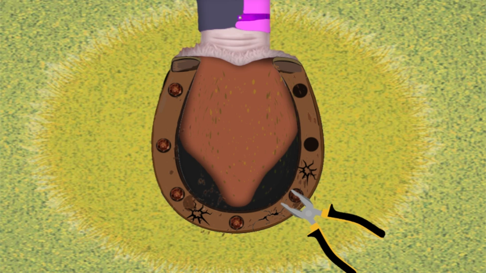 Royal Horse Care 1.11 Screenshot