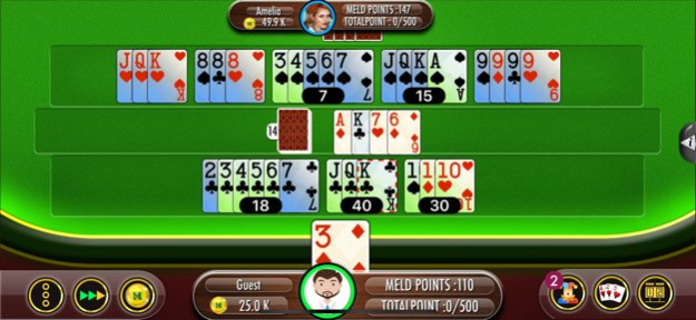 Rummy 500 Plus 2.0.0 Screenshot