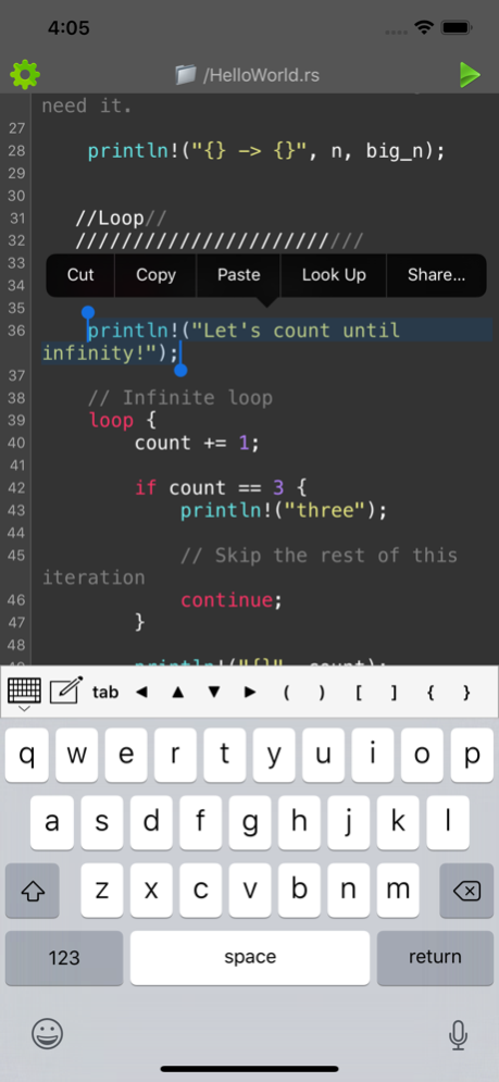 Rust Programming Compiler 1.9.1 Screenshot