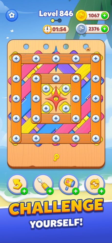 Screw Puzzle, Nuts & Bolts 3.4 Screenshot