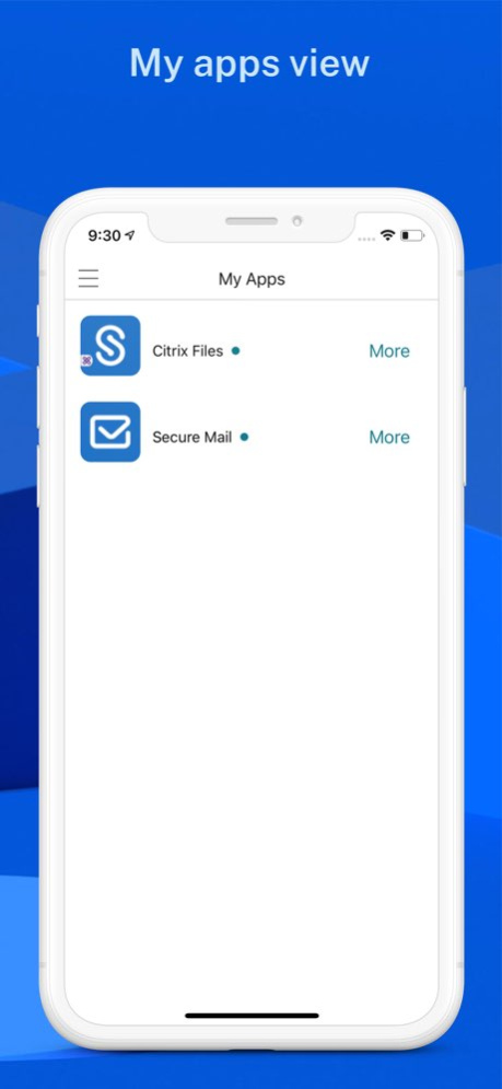 Citrix Secure Hub 26.8.1 Screenshot