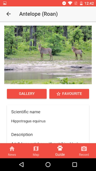 Serengeti Tracker  Screenshot