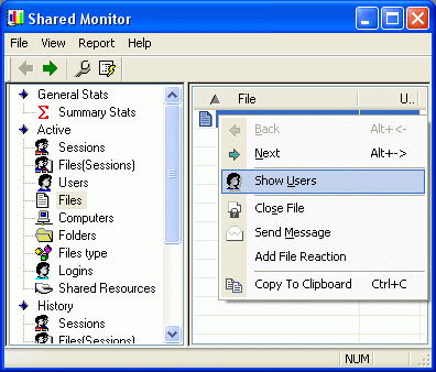 Shared Monitor 1.1 Screenshot