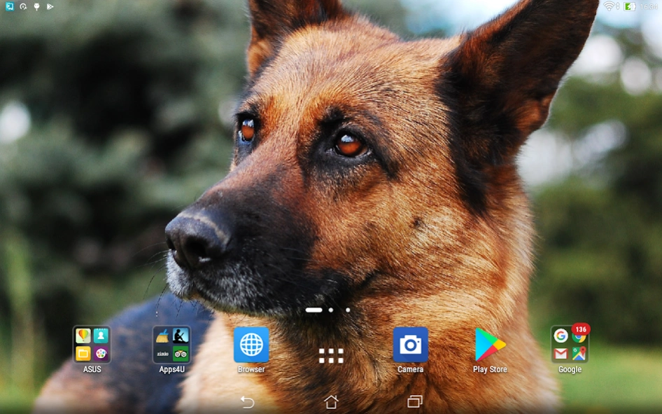 Sheepdogs live wallpaper  Screenshot