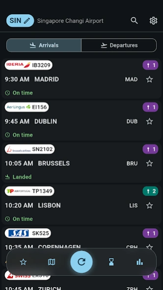 Singapore Changi Airport SIN  Screenshot