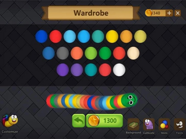 Snake Zone .io: Worms Game 2.5.6 Screenshot