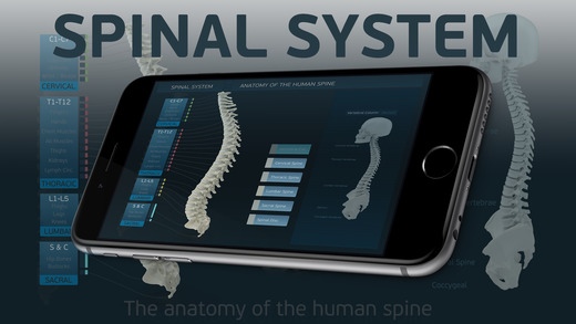 Spinal System 1.0 Screenshot