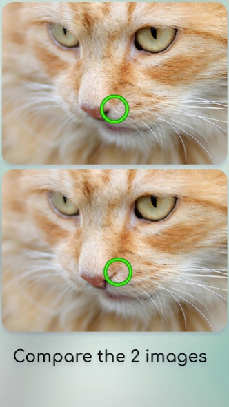 Spot the Difference 0.9.3 Screenshot