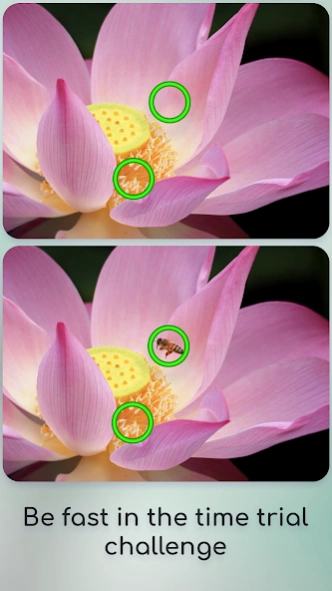 Spot the Difference 0.9.3 Screenshot