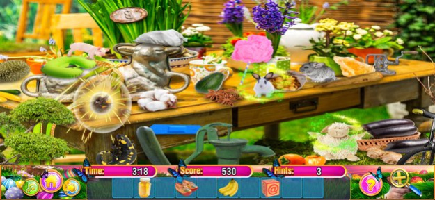 Spring Gardens Hidden Objects 1.5 Screenshot